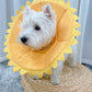 Fancy Dress : Sunflower Head