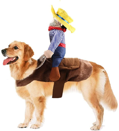 Fancy Dress : Cowboy