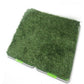 Indoor Grass