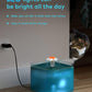 Premium Cat Drinking Water Fountain