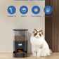Automatischer Katzenfutterspender mit Timer