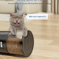 Automatischer Katzenfutterspender mit Timer