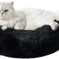 Luxury Indoor Cat Bed