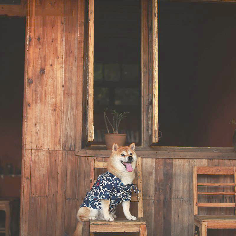 Bouboo Kimono Pet Clothes