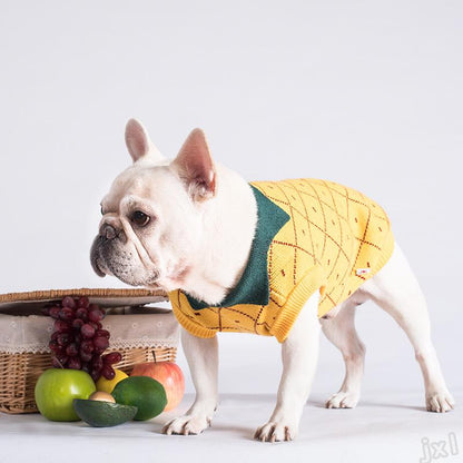 Pineapple Pet Sweater