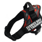 'Service Dog' Harness