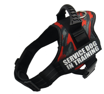 'Service Dog' Harness
