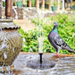 Solar Bionic Fountain