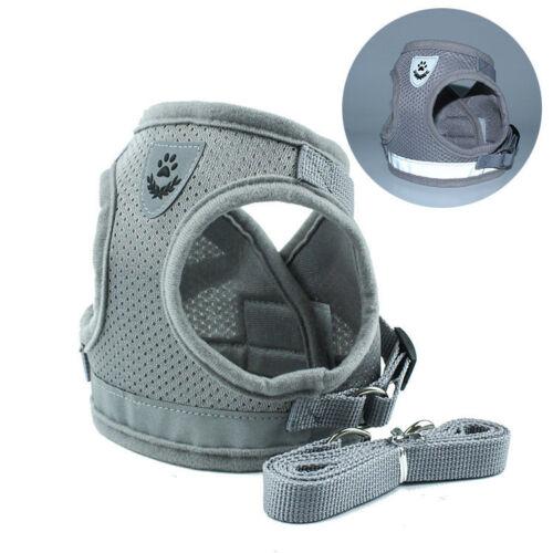 Bouboo Dog Harness And Leash