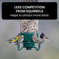 Squirrel-Proof Bird Feeder