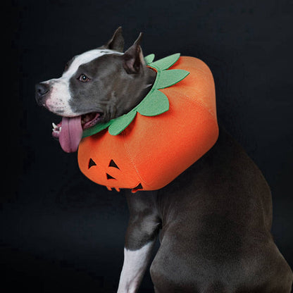 Fancy Dress : Pumpkin