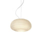 Designer Glass/Metal Simple Pendant Light