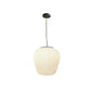Designer Glass/Metal Simple Pendant Light