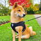 Bouboo Dog Harness And Leash