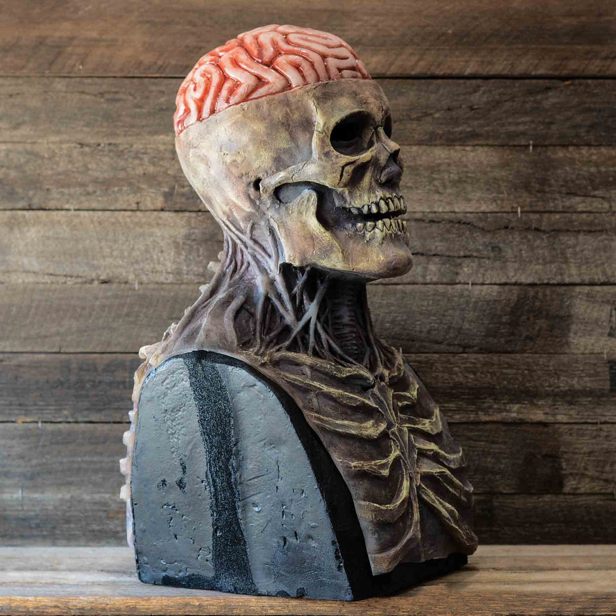 Hudson & Jurgen – Creepy Skeleton Mask | Realistic Skull Mask with Moving Jaw for Halloween Fun
