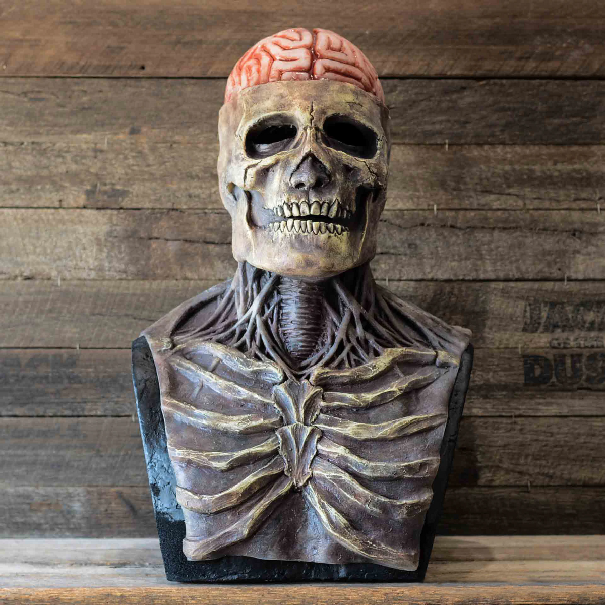Hudson & Jurgen – Creepy Skeleton Mask | Realistic Skull Mask with Moving Jaw for Halloween Fun