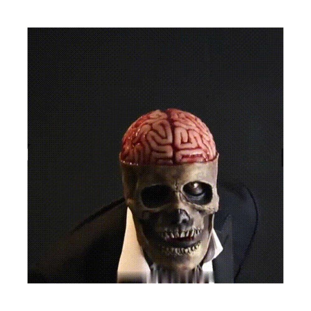 Hudson & Jurgen – Creepy Skeleton Mask | Realistic Skull Mask with Moving Jaw for Halloween Fun