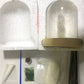 DIY Mushrooms in Forests Light