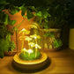 DIY Mushrooms in Forests Light