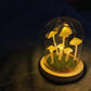 DIY Mushrooms in Forests Light