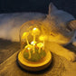DIY Mushrooms in Forests Light