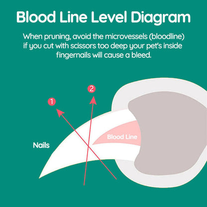 Bedste hunde negleklipper med hurtige sensorer