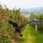 Ultrasonic Bird + Pest Repeller Solar Powered - Long Range