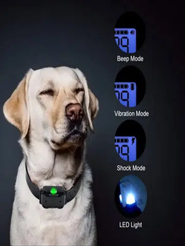 Hundehalsbånd Elektrisk Hundetræningshalsbånd Genopladeligt LCD-display til alle størrelser kæledyrstræningshalsbånd