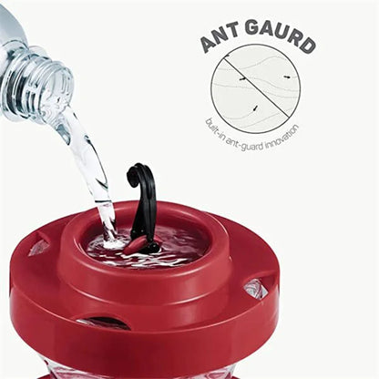 Hængende bi-sikre kolibrit vandforinger med siddepind