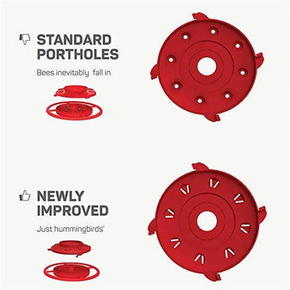 Hængende bi-sikre kolibrit vandforinger med siddepind