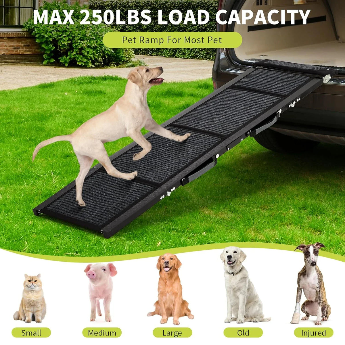 Hudson & Jurgen – Pet Ramp Collection | Folding Dog Ramp for Bed & Car with Non-Slip Surface | Lightweight Design for Safe Access