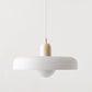 Modern Art Decor Bauhaus Glass Pendant Light