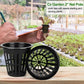50/100pcs 2-Inch Hydroponic Net Pots – Wide Lip Slotted Mesh Baskets