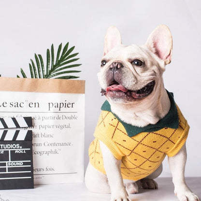 Pineapple Pet Sweater