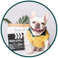 Pineapple Pet Sweater