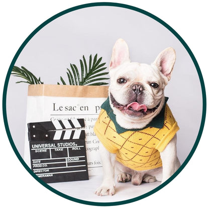 Pineapple Pet Sweater