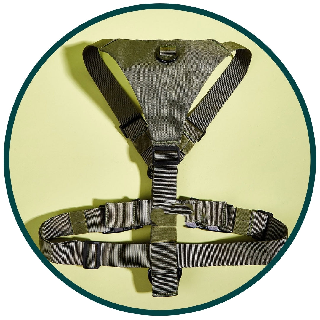 Basic Harness