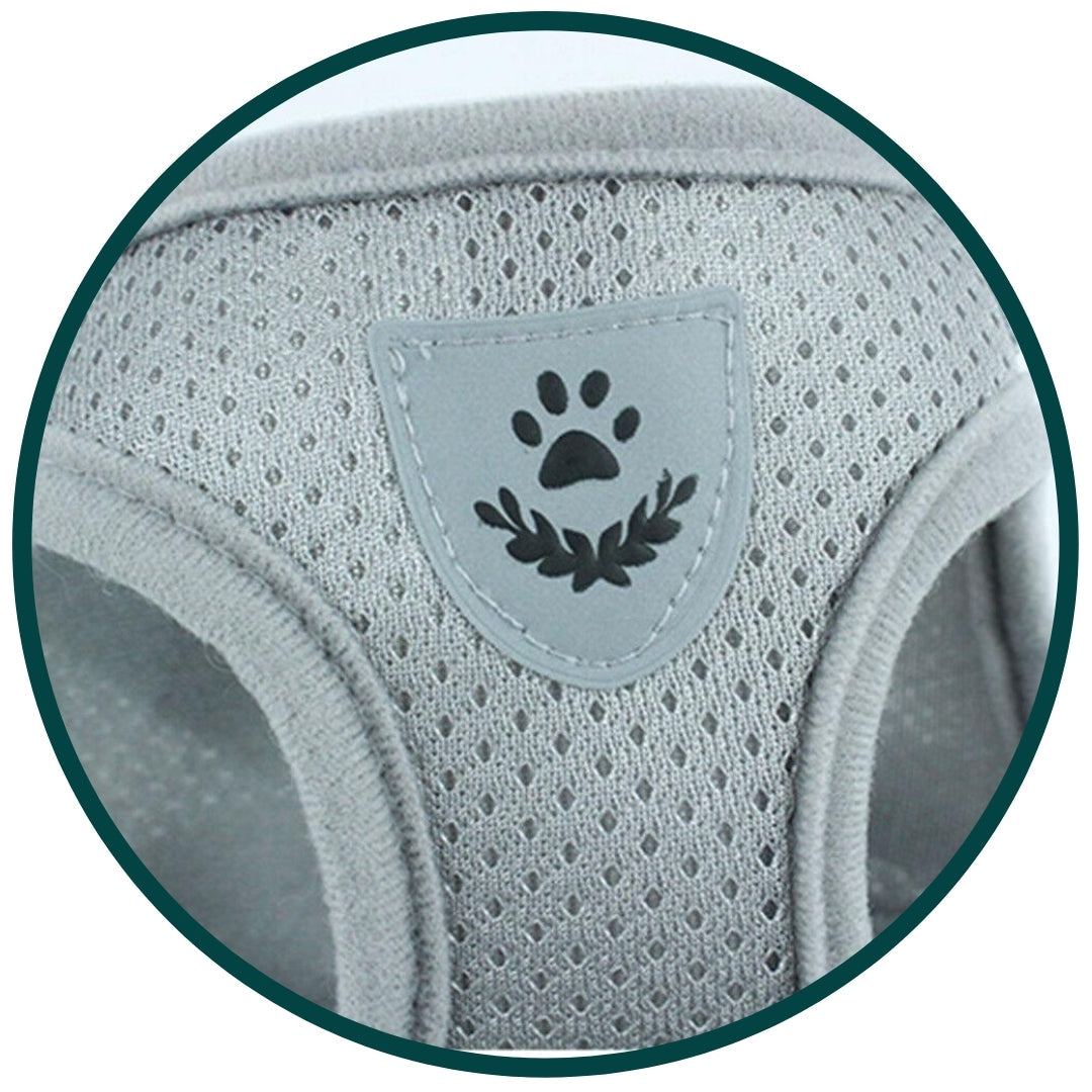 Bouboo Dog Harness And Leash