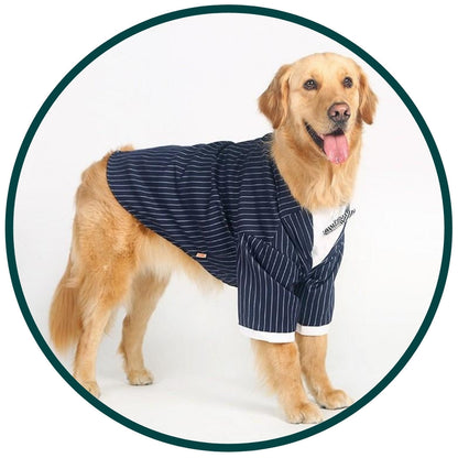 Fancy Dress : Pin Stripe Suit and Bowtie