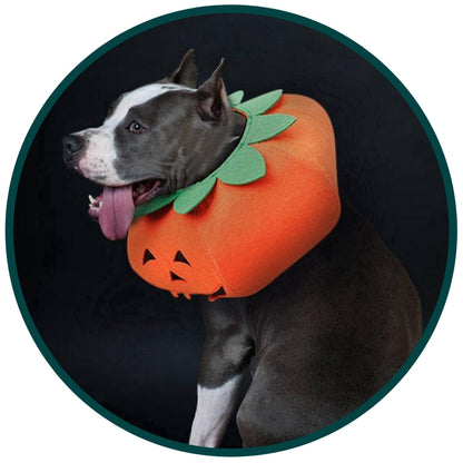 Fancy Dress : Pumpkin