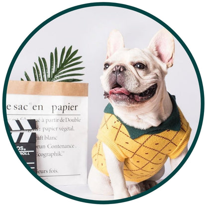 Pineapple Pet Sweater