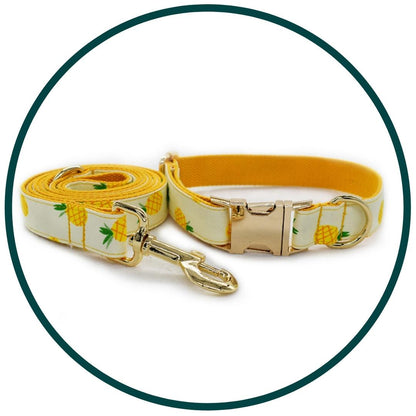 Pineapple Collar and Leash