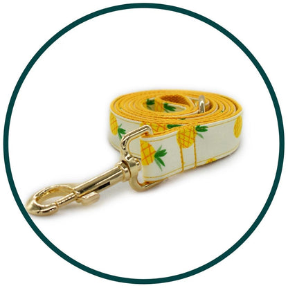 Pineapple Collar and Leash