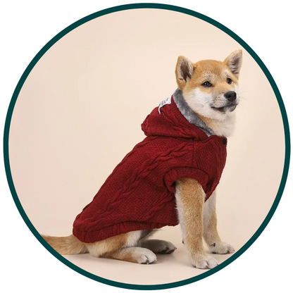 Knitted Wool Sweater