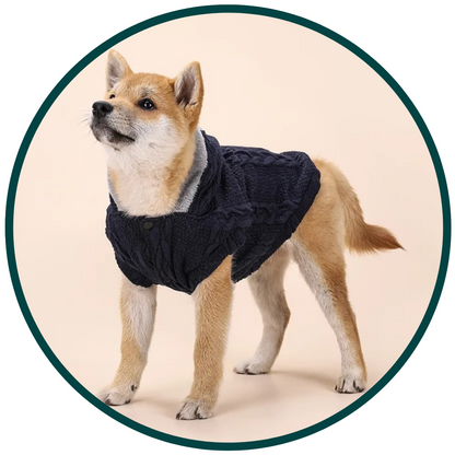 Knitted Wool Sweater