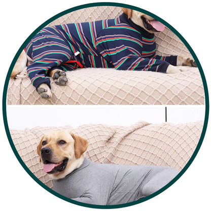 Dog Pyjamas