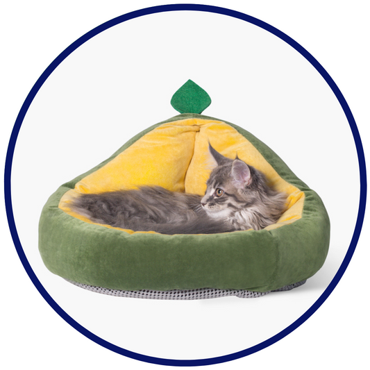 Avocado Bett