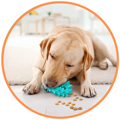 Toothbrush Stick Toy