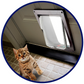 Pet Door