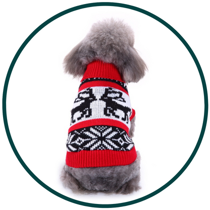 Festive Sweater
